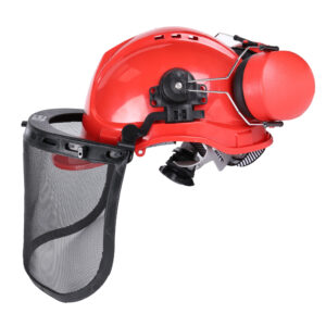 Hard Hat with Ratchet and Ear Muff